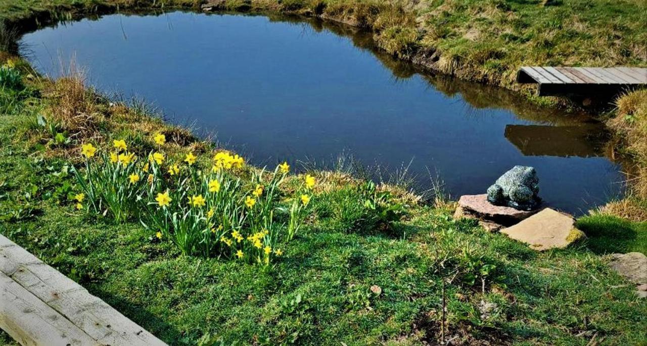 Peak District Cottage Set In 5 Acres Near Buxton Buxton  Esterno foto